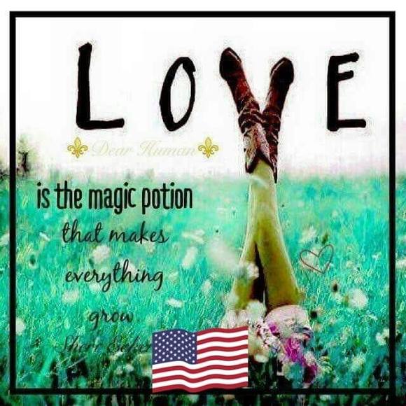 Meet your Posher, Crystal - Picture 1 of 1